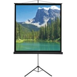 מסך חצובה sinoscreen t244244s